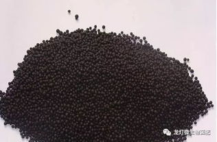 有機(jī)肥效果好,但千萬不要犯這些錯(cuò)誤——生物質(zhì)能技術(shù)服務(wù)指南
