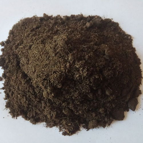 葡萄施發(fā)酵牛糞有機肥的合理應(yīng)用與生物有機肥料研發(fā)